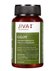JIVA AYURVEDA Giloy Suplement diety wspomagający odporność i wspierający w stresie Kapsułki 60 szt. - (termin 09.2026)