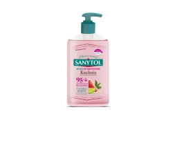 SANYTOL Mydło antybakt.250ml kuchnia &