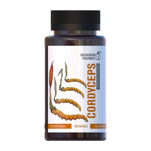 cordyceps-500x500_big.jpg