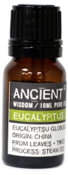 Eucalyptus Essential Oil, Ancient Wisdom, 10ml