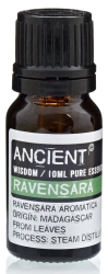 Olejek Eteryczny Ravensara, Ancient Wisdom, 10ml