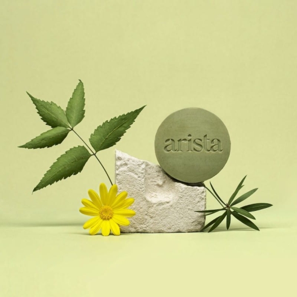 4ajurwedyjski-szampon-przeciwlupiezowy-w-kostce-80g-arista-ayurveda.jpeg