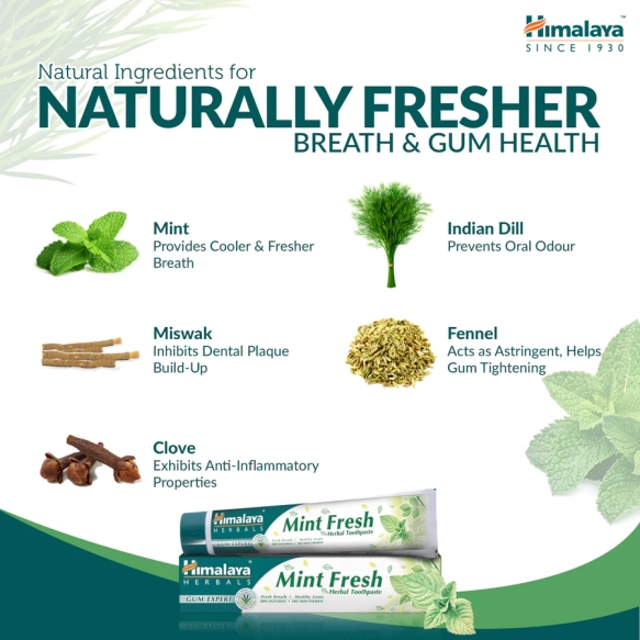 5IngredientsMintFresh.webp