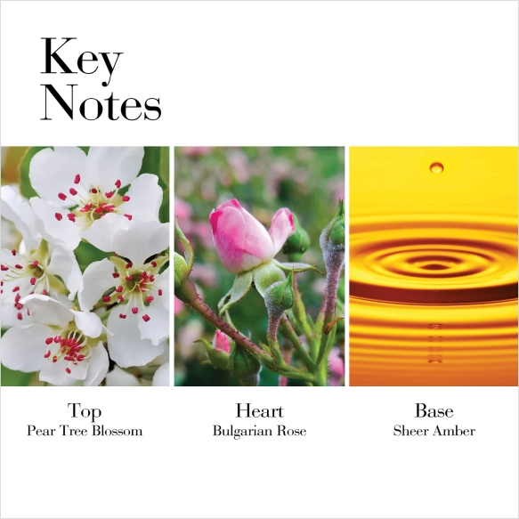 2020-White_Tea_WildRose_IMAGE-3-FRAGRANCE_20NOTES.webp