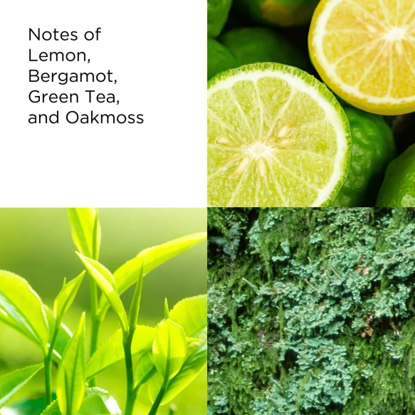 pdp-green-tea-spray-3-ingredients.webp