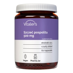 Szczeć pospolita 500 mg, Vitalers, 60 kapsułek