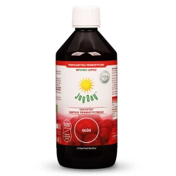 Eko Koncentrat Napoju Probiotycznego Głóg, Joy Day, 500ml