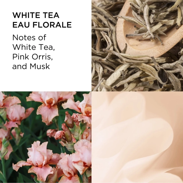 pdp-a0135775-white-tea-florale-3-ingredients.webp
