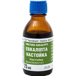 Nalewka z Eukaliptusa, 25ml