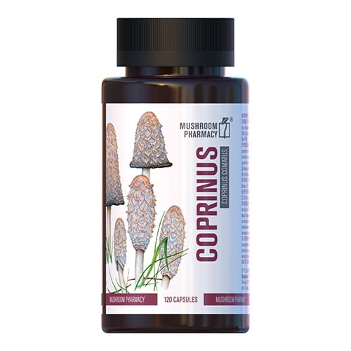 Czernidłak kołpakowaty (Coprinus comatus), FBT, 120 kapsułek