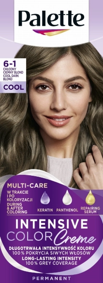 PALETTE Intens Creme Intensywna farba do włosów w kremie 6-1 Popielaty ciemny blond