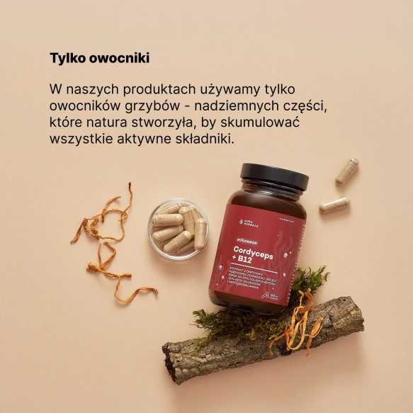 Mycodrop, Cordyceps 30:1 + B12, 30% beta-glukan, Aura Herbals, 60 kapsułek
