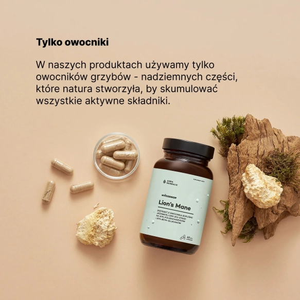 Mycodrop, Lion’s Mane 30:1, 30% beta-glukan, Aura Herbals, 60 kapsułek